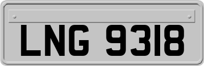 LNG9318