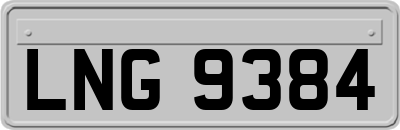 LNG9384
