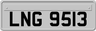 LNG9513