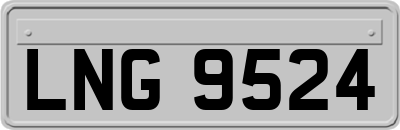 LNG9524