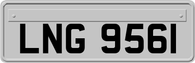 LNG9561