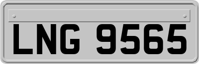 LNG9565