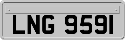 LNG9591