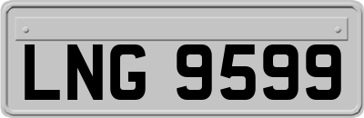 LNG9599