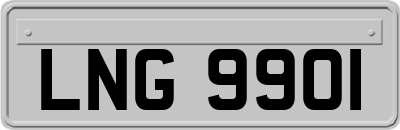 LNG9901