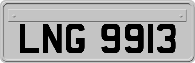 LNG9913