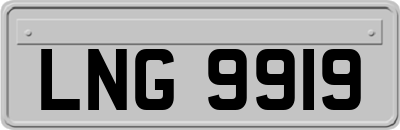 LNG9919