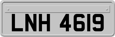 LNH4619
