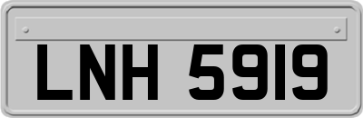 LNH5919