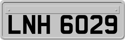 LNH6029
