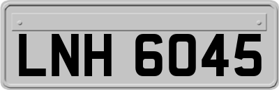 LNH6045
