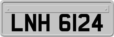 LNH6124