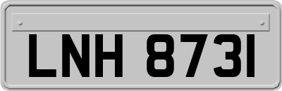 LNH8731