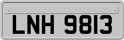 LNH9813