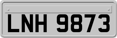 LNH9873