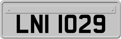 LNI1029