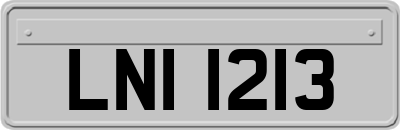 LNI1213