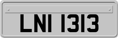 LNI1313