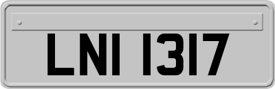 LNI1317