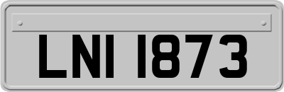 LNI1873
