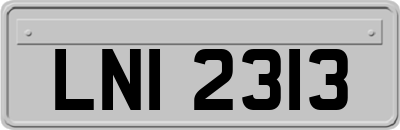 LNI2313