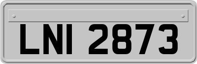 LNI2873