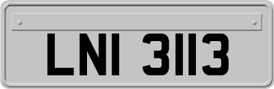 LNI3113