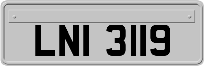 LNI3119