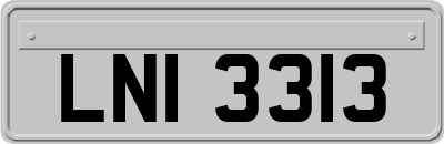 LNI3313