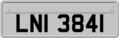 LNI3841