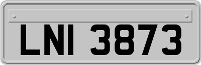 LNI3873