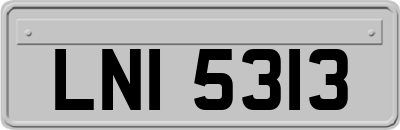 LNI5313