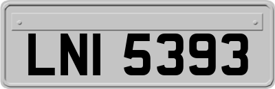 LNI5393