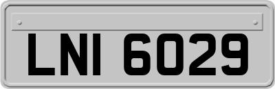 LNI6029