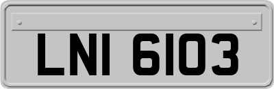 LNI6103