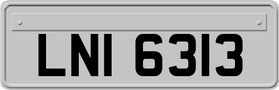 LNI6313