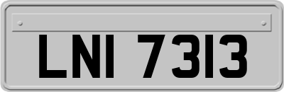 LNI7313