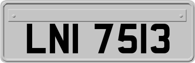 LNI7513