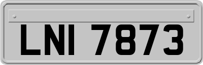LNI7873