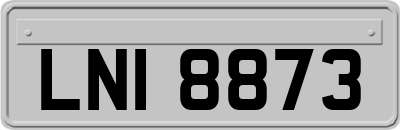 LNI8873