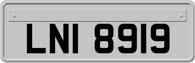 LNI8919