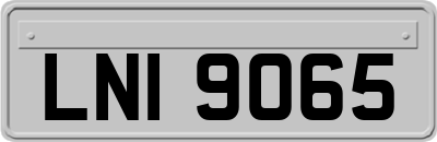 LNI9065