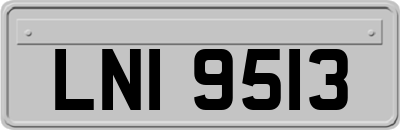 LNI9513