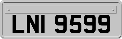 LNI9599