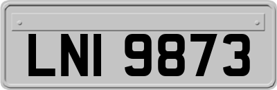 LNI9873