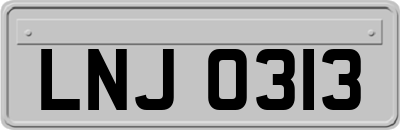 LNJ0313