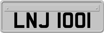 LNJ1001