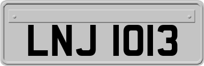 LNJ1013