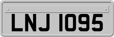 LNJ1095