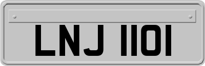 LNJ1101